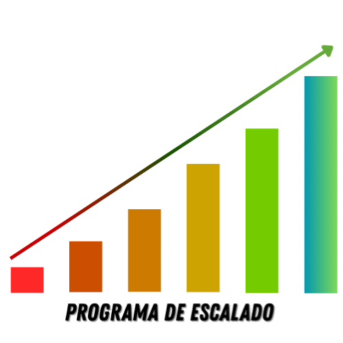 PROGRAMA DE ESCALADO VINTED