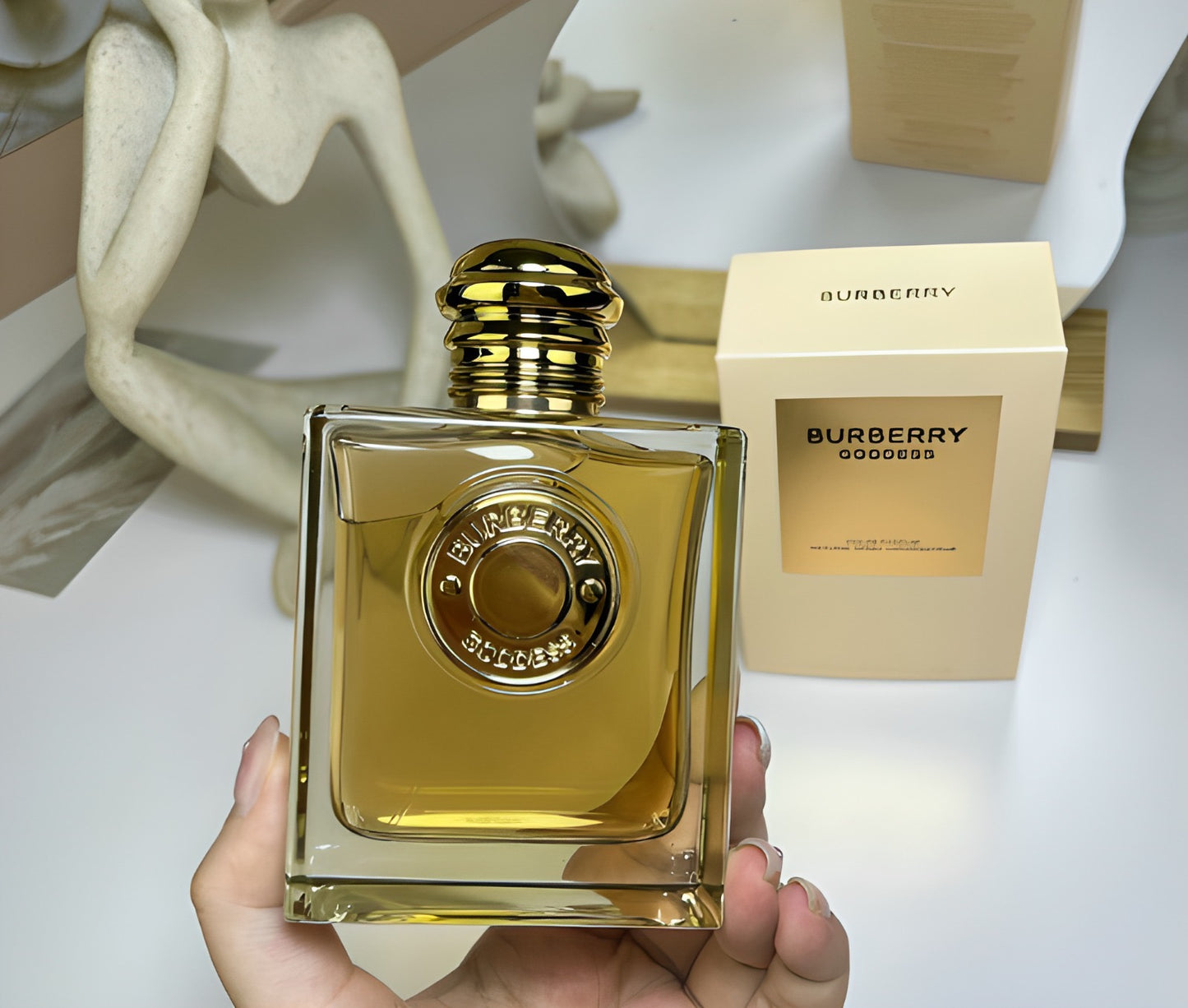 PROVEEDORES DE PERFUMES